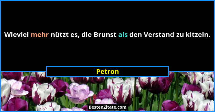Wieviel mehr nützt es, die Brunst als den Verstand zu kitzeln.... - Petron
