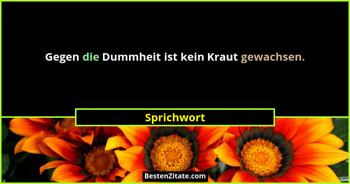 Gegen die Dummheit ist kein Kraut gewachsen.... - Sprichwort