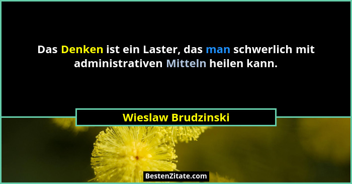 Das Denken ist ein Laster, das man schwerlich mit administrativen Mitteln heilen kann.... - Wieslaw Brudzinski