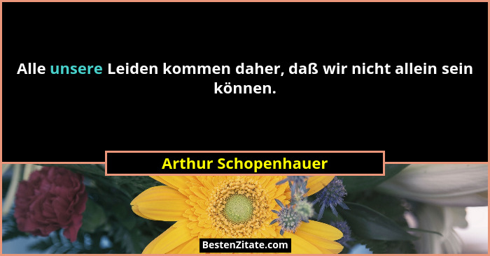 Alle unsere Leiden kommen daher, daß wir nicht allein sein können.... - Arthur Schopenhauer