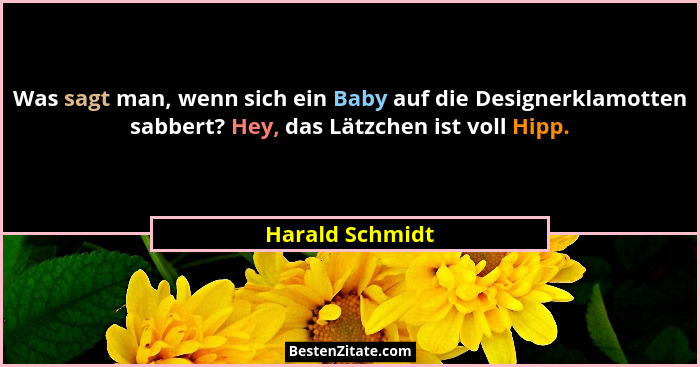 Was sagt man, wenn sich ein Baby auf die Designerklamotten sabbert? Hey, das Lätzchen ist voll Hipp.... - Harald Schmidt