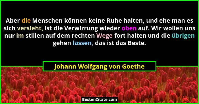Aber die Menschen können keine Ruhe halten, und ehe man es sich versieht, ist die Verwirrung wieder oben auf. Wir wollen... - Johann Wolfgang von Goethe