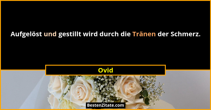 Aufgelöst und gestillt wird durch die Tränen der Schmerz.... - Ovid
