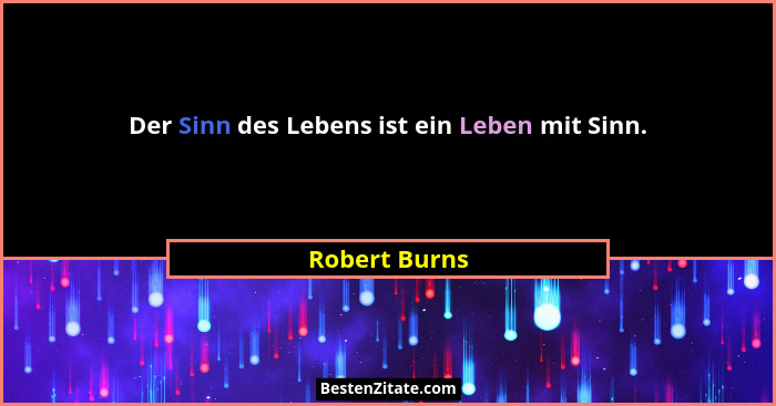 Der Sinn des Lebens ist ein Leben mit Sinn.... - Robert Burns