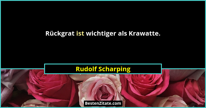 Rückgrat ist wichtiger als Krawatte.... - Rudolf Scharping
