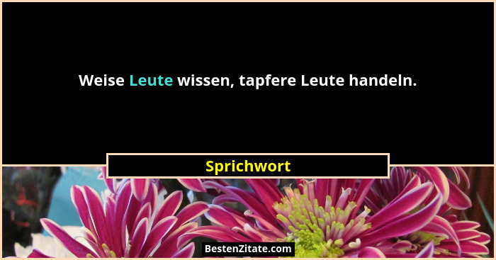 Weise Leute wissen, tapfere Leute handeln.... - Sprichwort