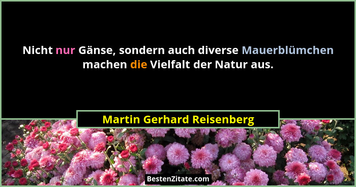 Nicht nur Gänse, sondern auch diverse Mauerblümchen machen die Vielfalt der Natur aus.... - Martin Gerhard Reisenberg