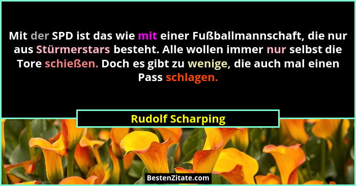 Mit der SPD ist das wie mit einer Fußballmannschaft, die nur aus Stürmerstars besteht. Alle wollen immer nur selbst die Tore schieß... - Rudolf Scharping