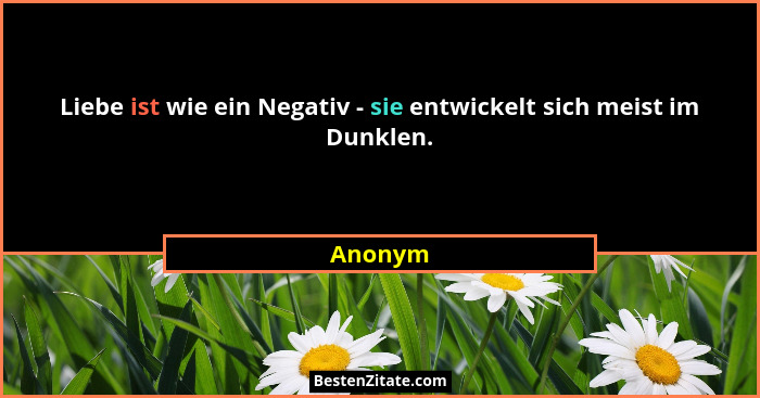 Liebe ist wie ein Negativ - sie entwickelt sich meist im Dunklen.... - Anonym