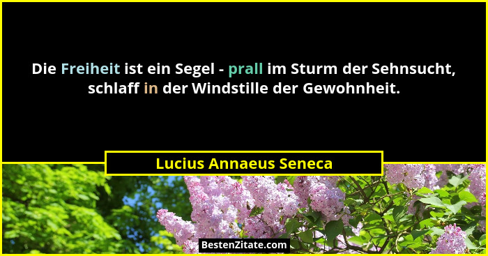 Die Freiheit ist ein Segel - prall im Sturm der Sehnsucht, schlaff in der Windstille der Gewohnheit.... - Lucius Annaeus Seneca