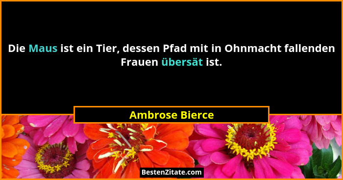 Die Maus ist ein Tier, dessen Pfad mit in Ohnmacht fallenden Frauen übersät ist.... - Ambrose Bierce