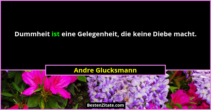 Dummheit ist eine Gelegenheit, die keine Diebe macht.... - Andre Glucksmann
