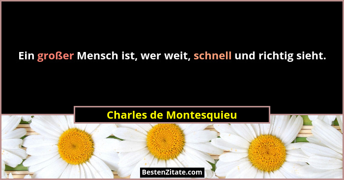 Ein großer Mensch ist, wer weit, schnell und richtig sieht.... - Charles de Montesquieu