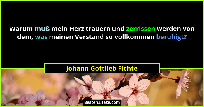 Warum muß mein Herz trauern und zerrissen werden von dem, was meinen Verstand so vollkommen beruhigt?... - Johann Gottlieb Fichte