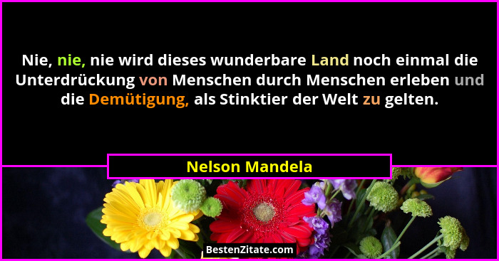 Nie, nie, nie wird dieses wunderbare Land noch einmal die Unterdrückung von Menschen durch Menschen erleben und die Demütigung, als S... - Nelson Mandela