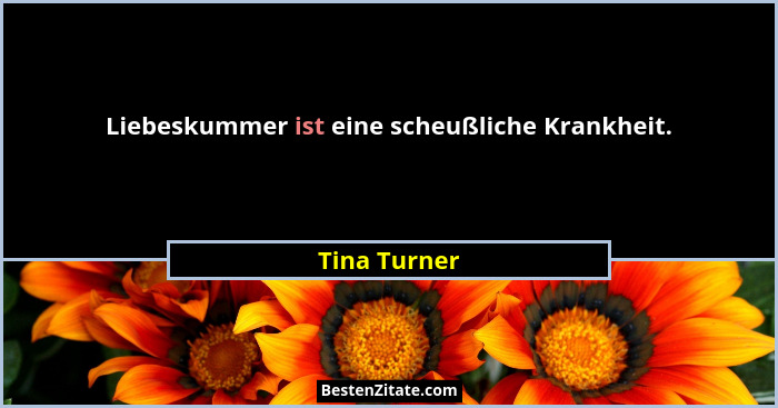 Liebeskummer ist eine scheußliche Krankheit.... - Tina Turner