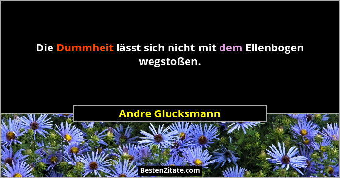 Die Dummheit lässt sich nicht mit dem Ellenbogen wegstoßen.... - Andre Glucksmann