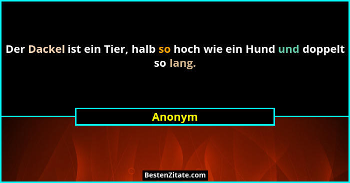 Der Dackel ist ein Tier, halb so hoch wie ein Hund und doppelt so lang.... - Anonym