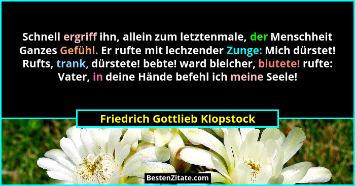 Schnell ergriff ihn, allein zum letztenmale, der Menschheit Ganzes Gefühl. Er rufte mit lechzender Zunge: Mich dürstet!... - Friedrich Gottlieb Klopstock