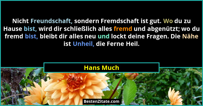 Nicht Freundschaft, sondern Fremdschaft ist gut. Wo du zu Hause bist, wird dir schließlich alles fremd und abgenützt; wo du fremd bist, bl... - Hans Much