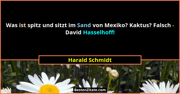 Was ist spitz und sitzt im Sand von Mexiko? Kaktus? Falsch - David Hasselhoff!... - Harald Schmidt