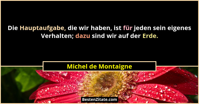 Die Hauptaufgabe, die wir haben, ist für jeden sein eigenes Verhalten; dazu sind wir auf der Erde.... - Michel de Montaigne