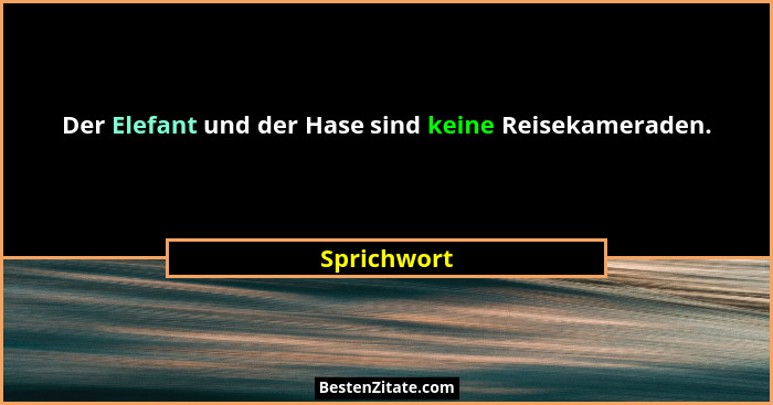 Der Elefant und der Hase sind keine Reisekameraden.... - Sprichwort