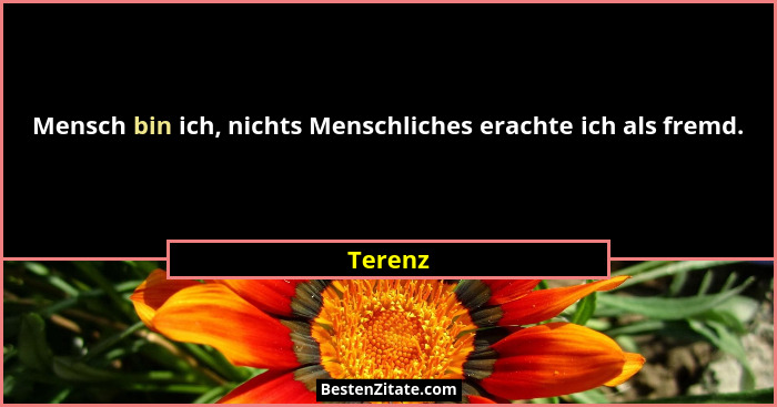 Mensch bin ich, nichts Menschliches erachte ich als fremd.... - Terenz