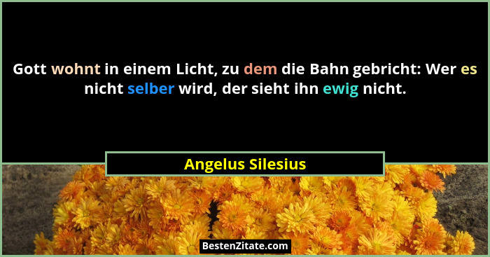 Gott wohnt in einem Licht, zu dem die Bahn gebricht: Wer es nicht selber wird, der sieht ihn ewig nicht.... - Angelus Silesius