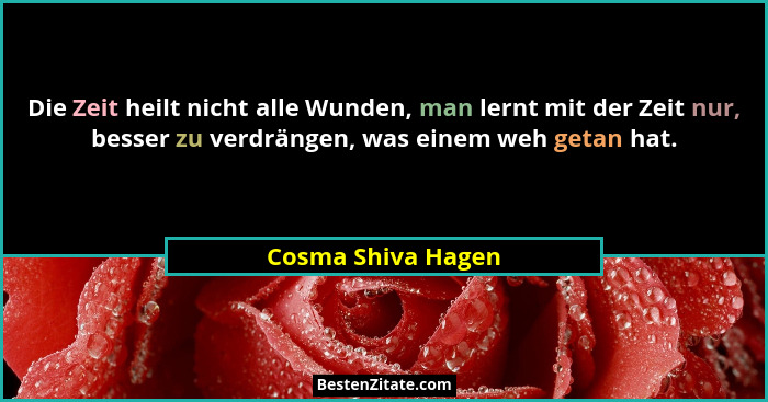 Die Zeit heilt nicht alle Wunden, man lernt mit der Zeit nur, besser zu verdrängen, was einem weh getan hat.... - Cosma Shiva Hagen