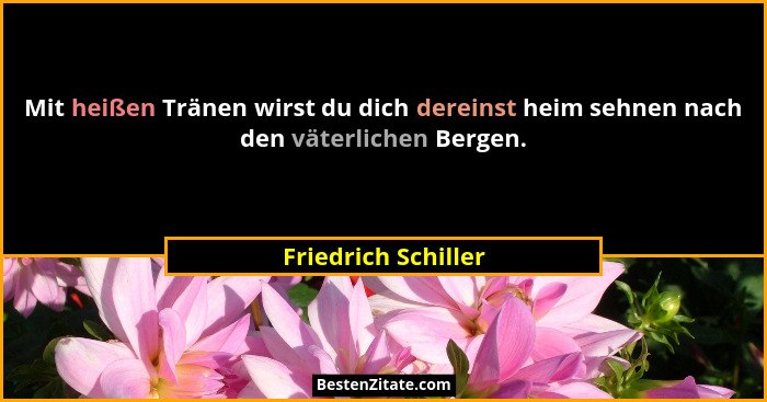 Mit heißen Tränen wirst du dich dereinst heim sehnen nach den väterlichen Bergen.... - Friedrich Schiller