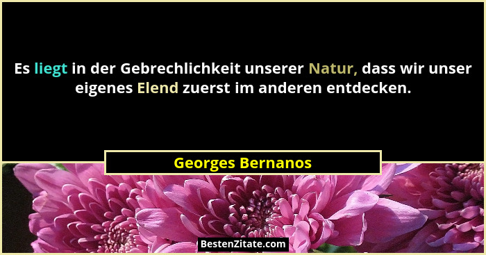 Es liegt in der Gebrechlichkeit unserer Natur, dass wir unser eigenes Elend zuerst im anderen entdecken.... - Georges Bernanos