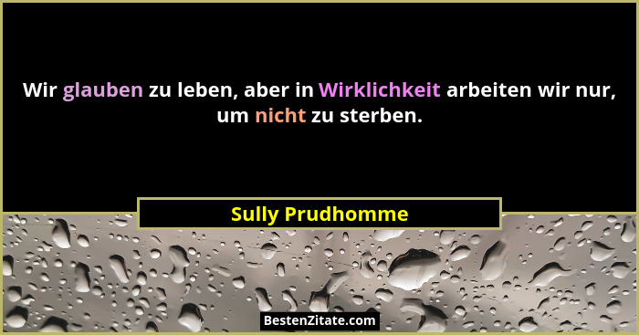 Wir glauben zu leben, aber in Wirklichkeit arbeiten wir nur, um nicht zu sterben.... - Sully Prudhomme