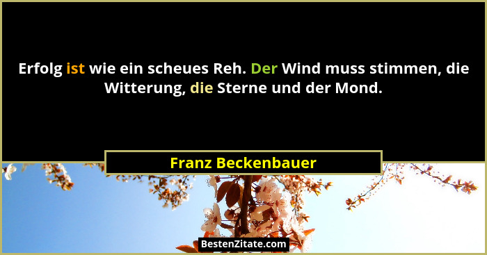 Erfolg ist wie ein scheues Reh. Der Wind muss stimmen, die Witterung, die Sterne und der Mond.... - Franz Beckenbauer