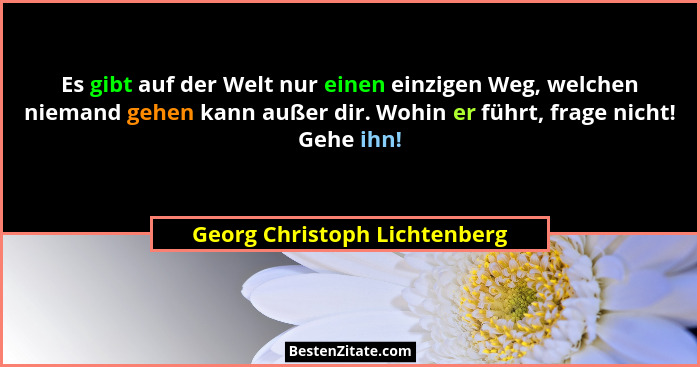 Es gibt auf der Welt nur einen einzigen Weg, welchen niemand gehen kann außer dir. Wohin er führt, frage nicht! Gehe ihn... - Georg Christoph Lichtenberg