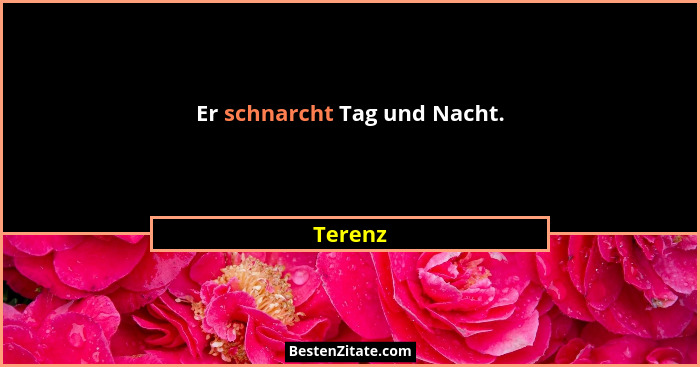 Er schnarcht Tag und Nacht.... - Terenz
