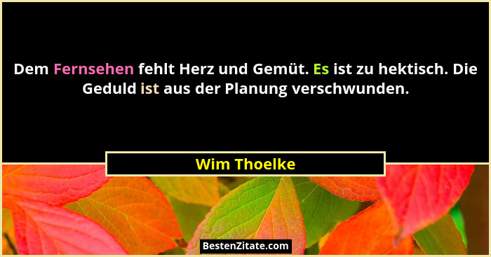 Dem Fernsehen fehlt Herz und Gemüt. Es ist zu hektisch. Die Geduld ist aus der Planung verschwunden.... - Wim Thoelke