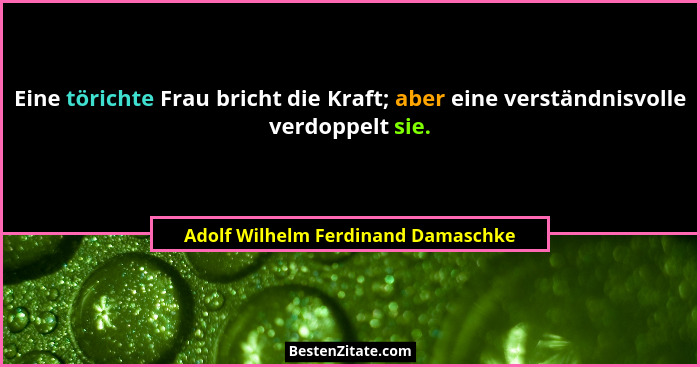 Eine törichte Frau bricht die Kraft; aber eine verständnisvolle verdoppelt sie.... - Adolf Wilhelm Ferdinand Damaschke