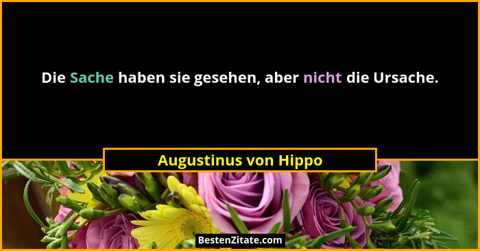 Die Sache haben sie gesehen, aber nicht die Ursache.... - Augustinus von Hippo