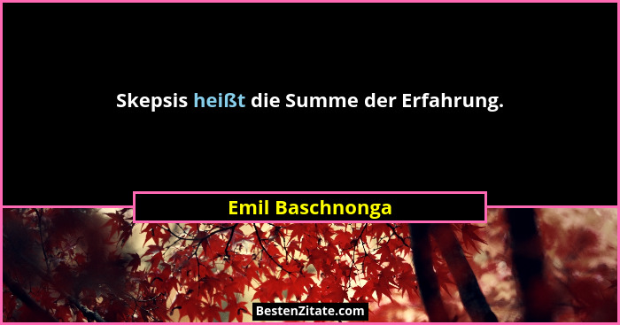 Skepsis heißt die Summe der Erfahrung.... - Emil Baschnonga