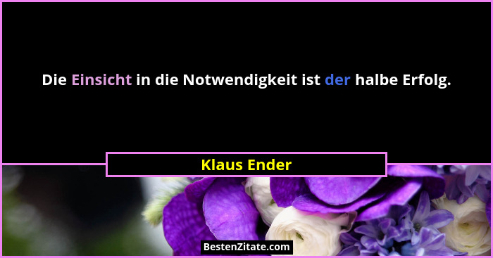 Die Einsicht in die Notwendigkeit ist der halbe Erfolg.... - Klaus Ender