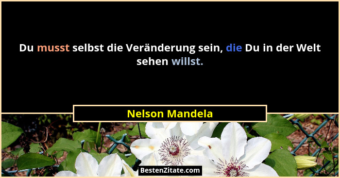 Du musst selbst die Veränderung sein, die Du in der Welt sehen willst.... - Nelson Mandela