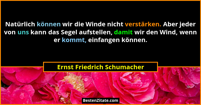 Natürlich können wir die Winde nicht verstärken. Aber jeder von uns kann das Segel aufstellen, damit wir den Wind, wenn e... - Ernst Friedrich Schumacher