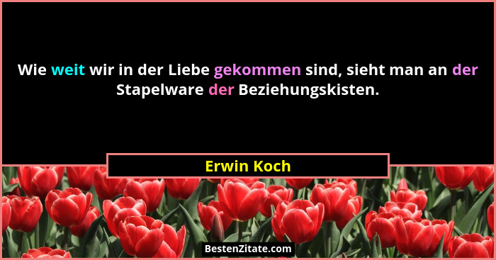 Wie weit wir in der Liebe gekommen sind, sieht man an der Stapelware der Beziehungskisten.... - Erwin Koch