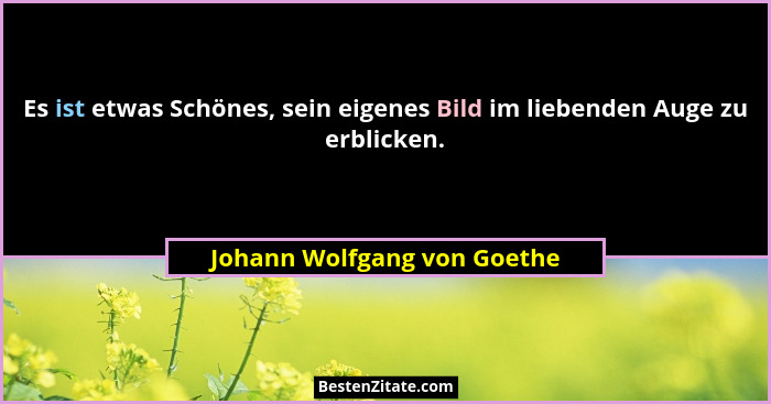 Es ist etwas Schönes, sein eigenes Bild im liebenden Auge zu erblicken.... - Johann Wolfgang von Goethe