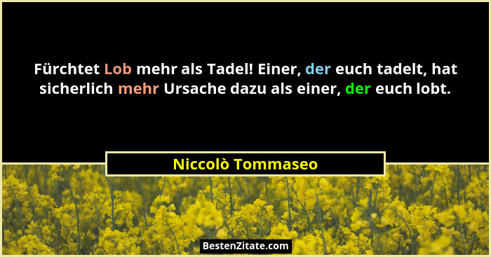 Fürchtet Lob mehr als Tadel! Einer, der euch tadelt, hat sicherlich mehr Ursache dazu als einer, der euch lobt.... - Niccolò Tommaseo