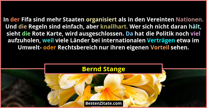 In der Fifa sind mehr Staaten organisiert als in den Vereinten Nationen. Und die Regeln sind einfach, aber knallhart. Wer sich nicht da... - Bernd Stange