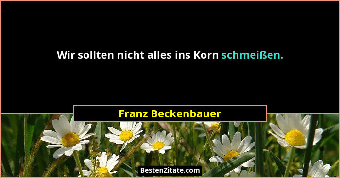 Wir sollten nicht alles ins Korn schmeißen.... - Franz Beckenbauer