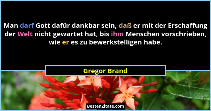 Man darf Gott dafür dankbar sein, daß er mit der Erschaffung der Welt nicht gewartet hat, bis ihm Menschen vorschrieben, wie er es zu b... - Gregor Brand
