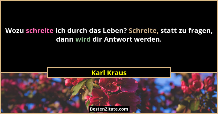 Wozu schreite ich durch das Leben? Schreite, statt zu fragen, dann wird dir Antwort werden.... - Karl Kraus